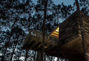Cabañitas del Bosque
